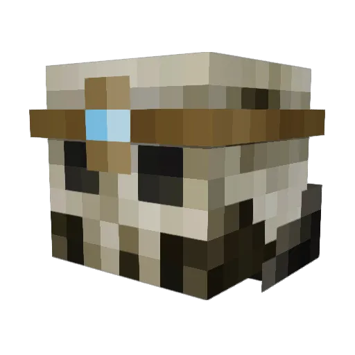 Vvladamire Minecraft avatar head, 3D render