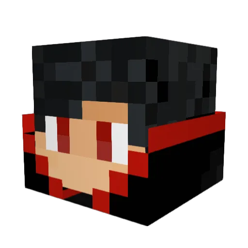 VxBlackPanderxV Minecraft avatar head, 3D render
