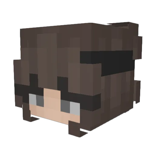 VxbinAlt1 Minecraft avatar head, 3D render