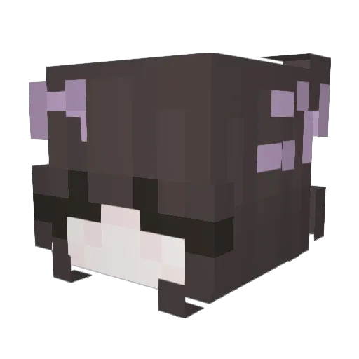 VxgueDesires Minecraft avatar head, 3D render