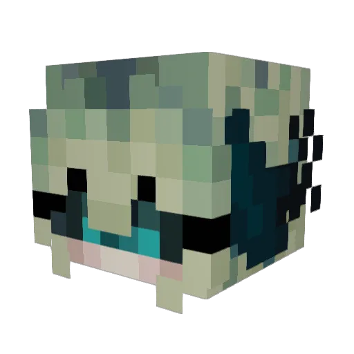 Vxmnyy Minecraft avatar head, 3D render