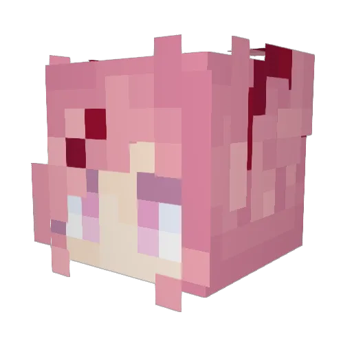 Vxnnp Minecraft avatar head, 3D render