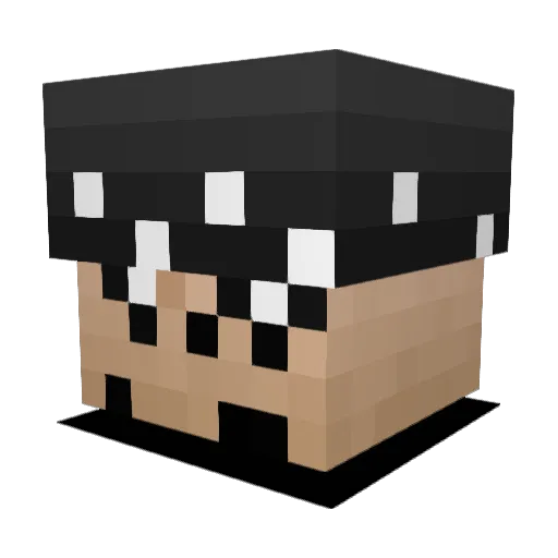 Vxrce Minecraft avatar head, 3D render