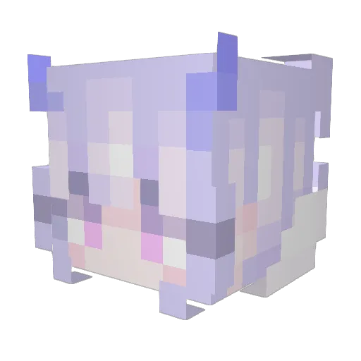 Vxxle_ Minecraft avatar head, 3D render