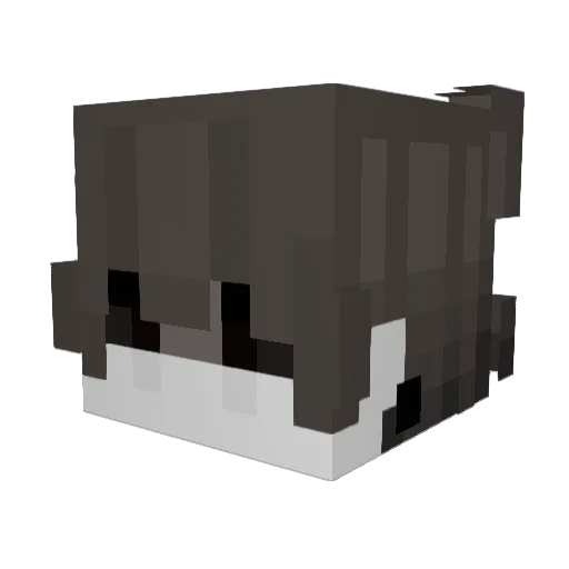 Vxxz__ Minecraft avatar head, 3D render
