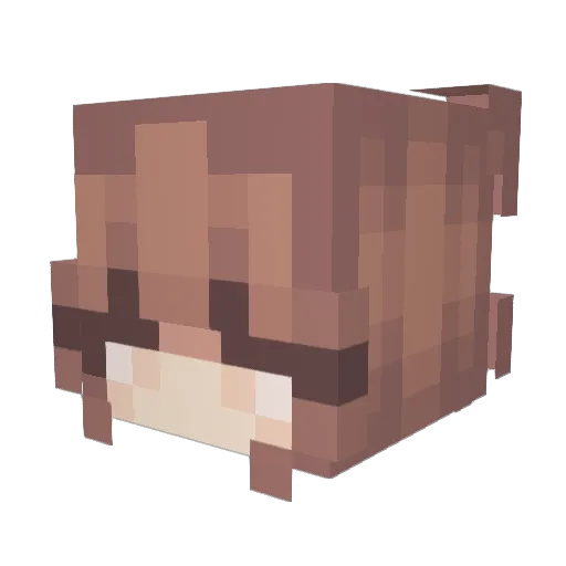 VyachesIav00 Minecraft avatar head, 3D render