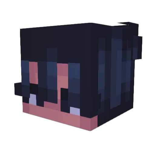 Vyconotic Minecraft avatar head, 3D render