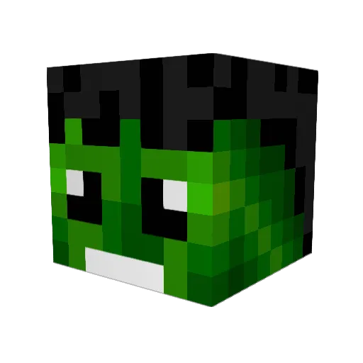 Vyhiro Minecraft avatar head, 3D render
