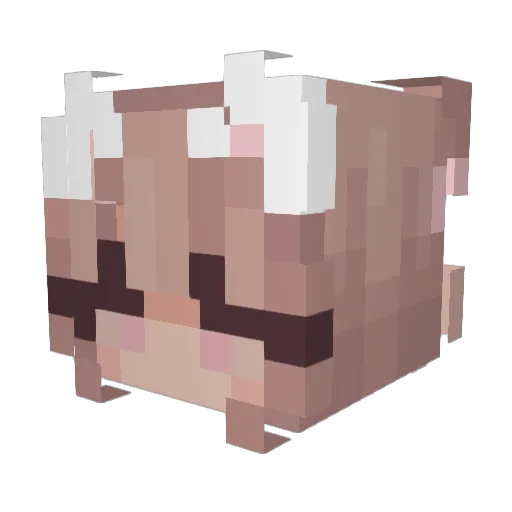 Vyjl Minecraft avatar head, 3D render