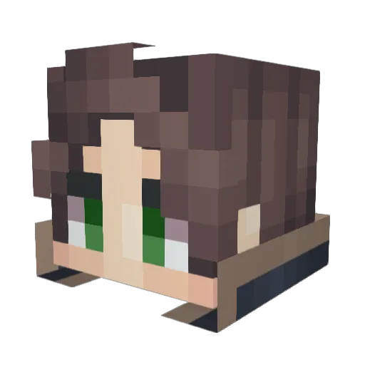 Vylas13 Minecraft avatar head, 3D render