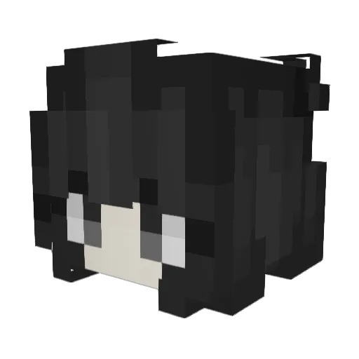 Vylera Minecraft avatar head, 3D render