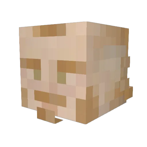 Vylkmir Minecraft avatar head, 3D render