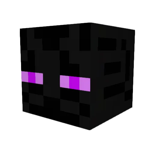 Vyns0 Minecraft avatar head, 3D render