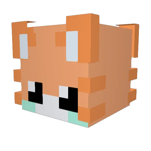 Vyrion157 Minecraft avatar head, 3D render