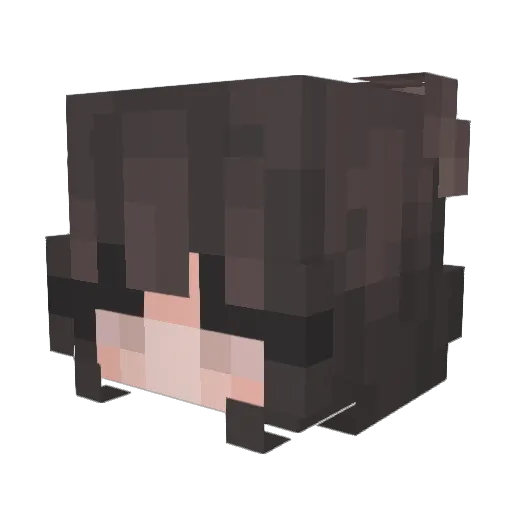 Vys05 Minecraft avatar head, 3D render