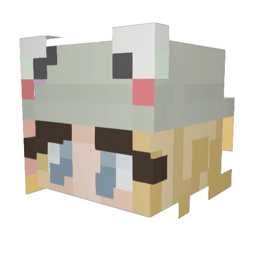 Vyt1ss Minecraft avatar head, 3D render