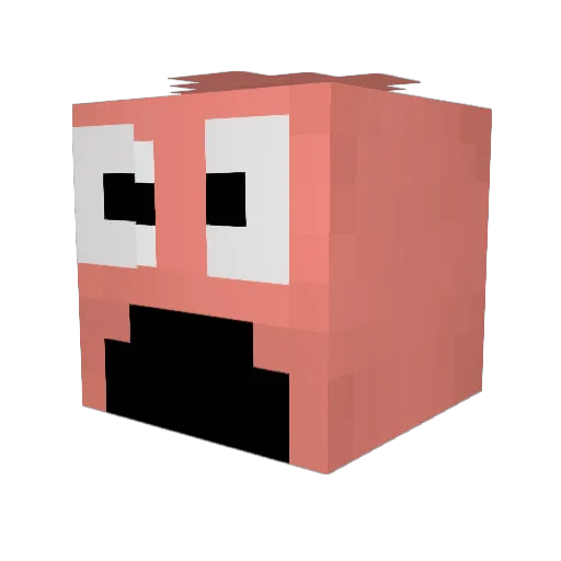 Vytiss Minecraft avatar head, 3D render