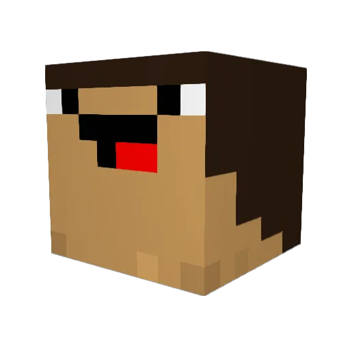 Vz3TheLast Minecraft avatar head, 3D render