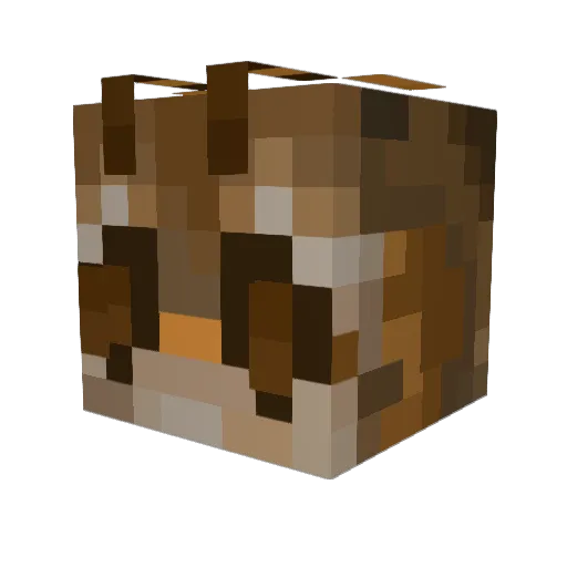W00ZeLL Minecraft avatar head, 3D render