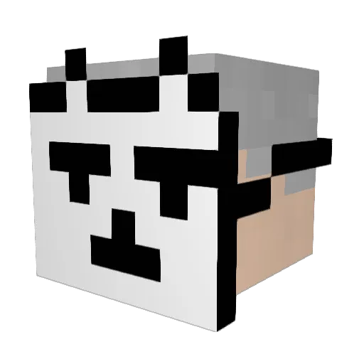 W0IF_ Minecraft avatar head, 3D render
