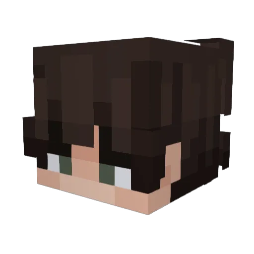 W0RLDSTAR Minecraft avatar head, 3D render