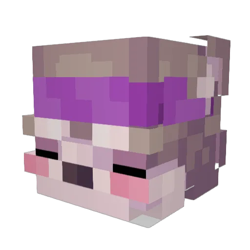 W0RY0 Minecraft avatar head, 3D render