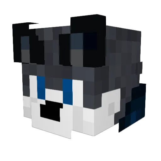 W0lfy0_0 Minecraft avatar head, 3D render