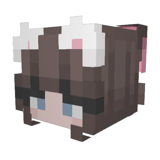 W0nderBr3ad Minecraft avatar head, 3D render