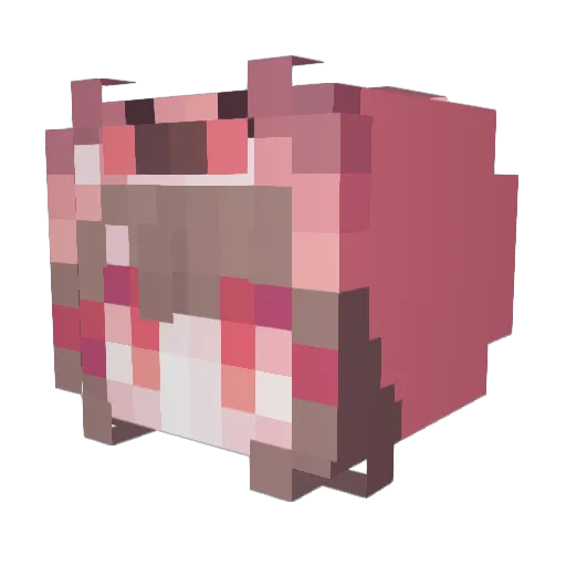 W111__0 Minecraft avatar head, 3D render