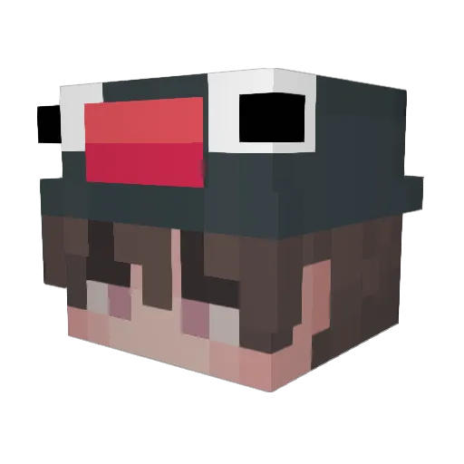 W1122334 Minecraft avatar head, 3D render