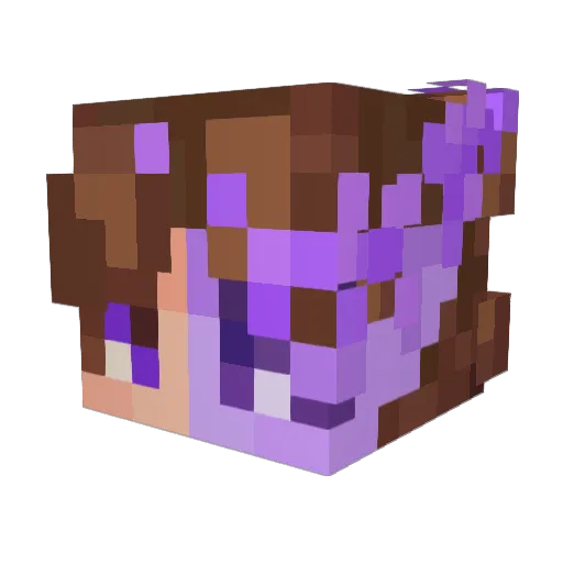 W1LL245 Minecraft avatar head, 3D render