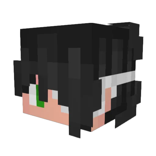 W1NI Minecraft avatar head, 3D render