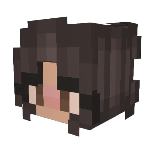 W1ener Minecraft avatar head, 3D render