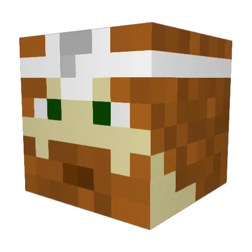 W1ldC44rd Minecraft avatar head, 3D render