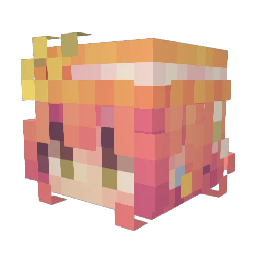 W1ld_Sunflwer Minecraft avatar head, 3D render