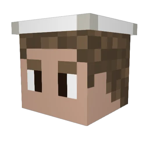 W1lderBuschMann Minecraft avatar head, 3D render