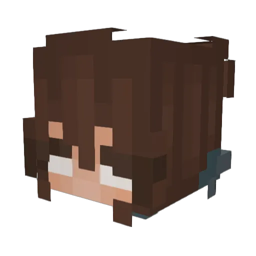 W1lh3lm1n4 Minecraft avatar head, 3D render