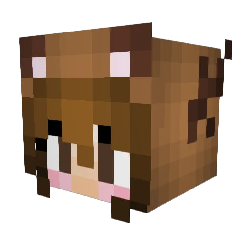 W1lla Minecraft avatar head, 3D render