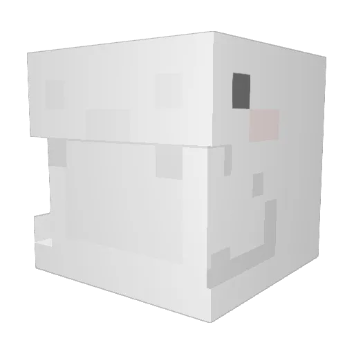 W1nterNotFound Minecraft avatar head, 3D render