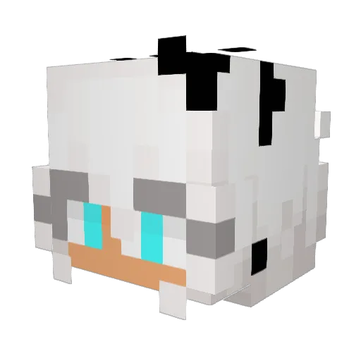 W1nterTime Minecraft avatar head, 3D render