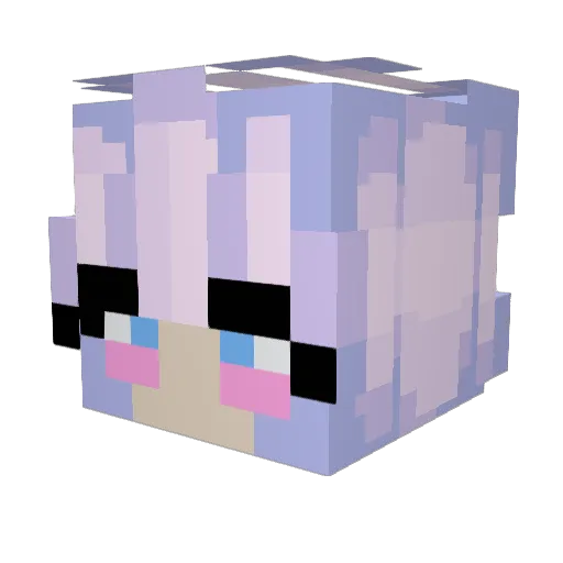 W1nterWolf Minecraft avatar head, 3D render