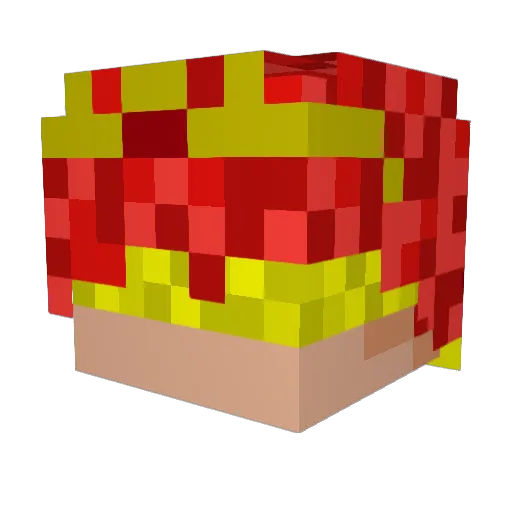 W1nter_lol Minecraft avatar head, 3D render