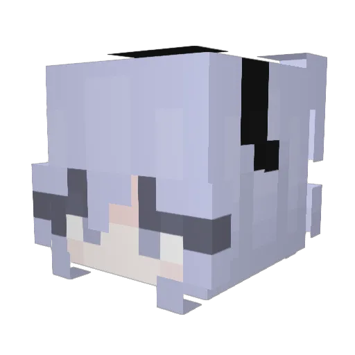 W1peOut Minecraft avatar head, 3D render