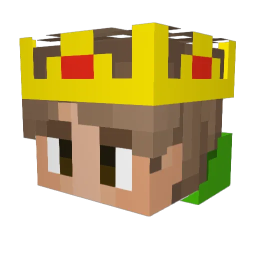 W1seAvocado Minecraft avatar head, 3D render