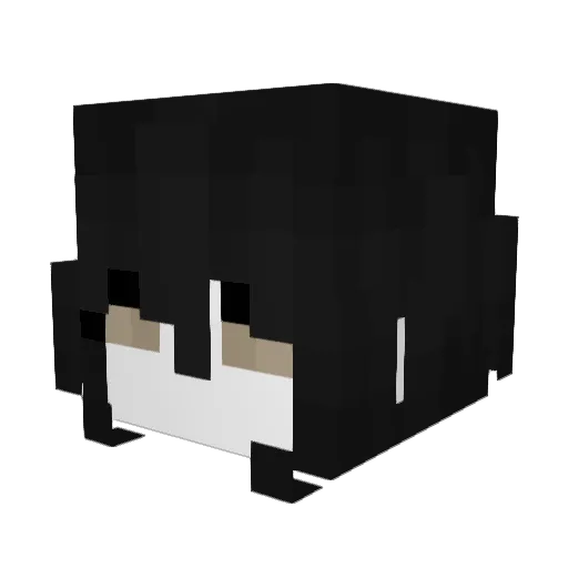 W1tch_Face Minecraft avatar head, 3D render