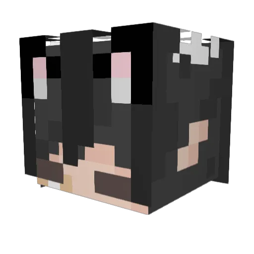 W1ts Minecraft avatar head, 3D render