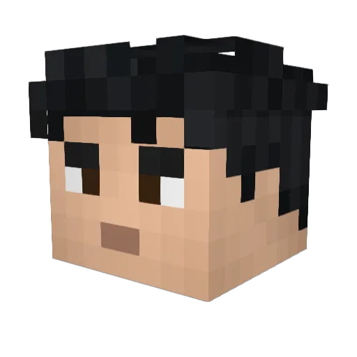 W1z3rd0fdarkn3s Minecraft avatar head, 3D render