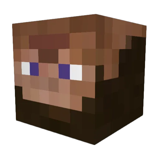 W2w3e4r5tT6 Minecraft avatar head, 3D render