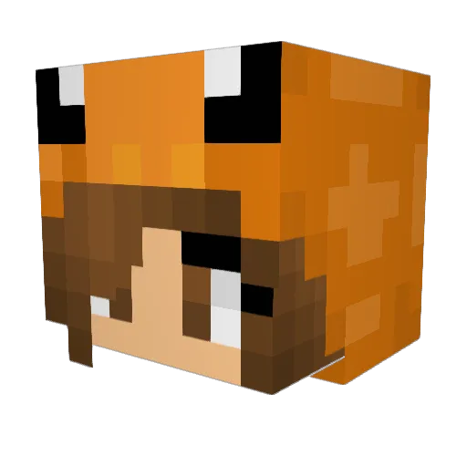 W33DM4N4200 Minecraft avatar head, 3D render