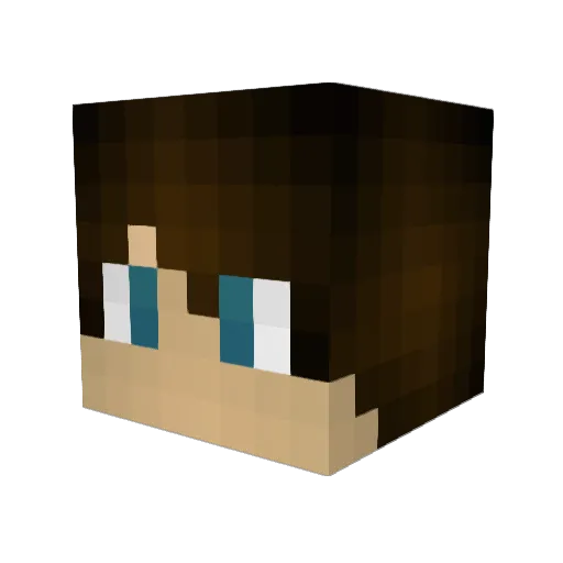 W3stonZz Minecraft avatar head, 3D render